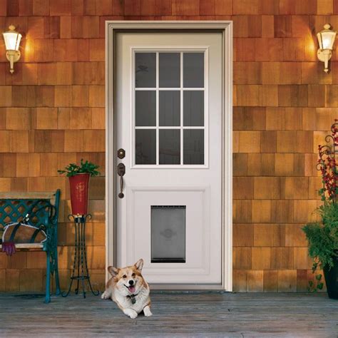 exterior door with dog door built in